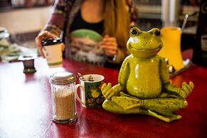 The Pickled Frog - Hostel