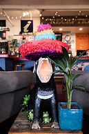 The Pickled Frog - Hostel