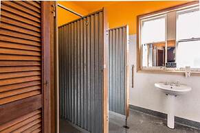 The Pickled Frog - Hostel