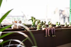 The Pickled Frog - Hostel