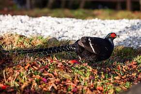 Alishan Shermuh Int' Tourist Hotel