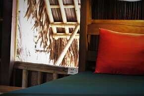 Under the coconut tree - Hostel