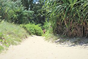 Under the coconut tree - Hostel