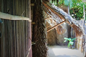 Under the coconut tree - Hostel