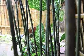 Under the coconut tree - Hostel