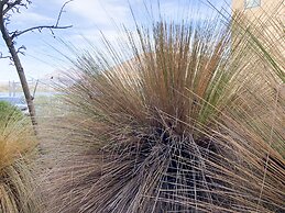 Amazing Queenstown Guesthouse