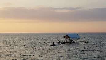 Birdland Beach Club