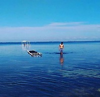 Birdland Beach Club