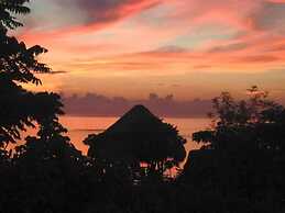 Birdland Beach Club