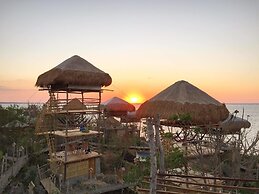 Birdland Beach Club
