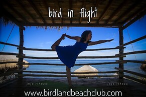 Birdland Beach Club