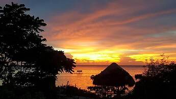 Birdland Beach Club