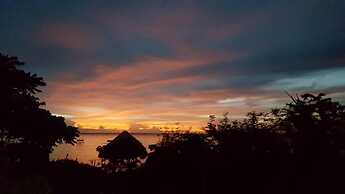 Birdland Beach Club