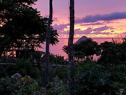 Birdland Beach Club