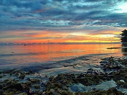 Birdland Beach Club