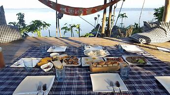 Birdland Beach Club