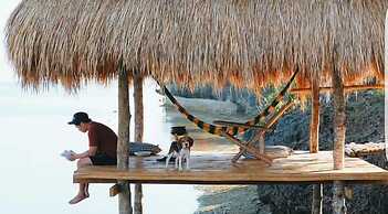 Birdland Beach Club