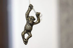 The Foresters Guest House