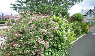 Aaranmore Lodge Bed & Breakfast