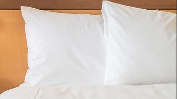 Holiday Inn- Nanjing Qinhuai South by IHG