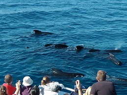 Amazing Unique Five-Star Waterfront Retreat