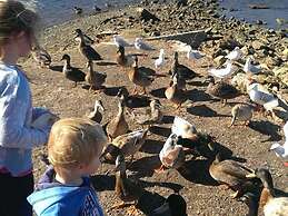 Amazing Unique Five-Star Waterfront Retreat