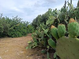 Masseria Belvedere