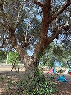 Masseria Belvedere