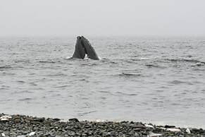 Edge of the Avalon Inn