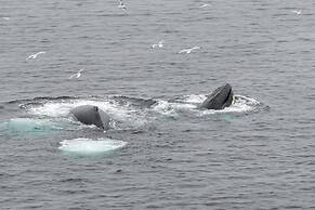 Edge of the Avalon Inn