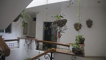 Hotel Casa del Parque Vallarta