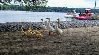 The White House Boutique Bed & Breakfast