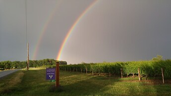 The White House Boutique Bed & Breakfast
