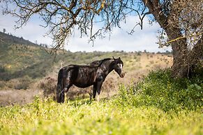 Hotel Boutique BC Wine Casablanca
