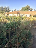 Hotel Boutique BC Wine Casablanca