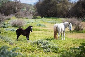 Hotel Boutique BC Wine Casablanca