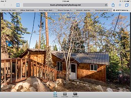 Treetop Cabin