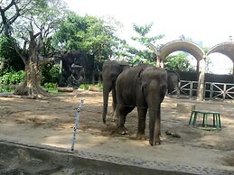 Herla Masteri Thao Dien