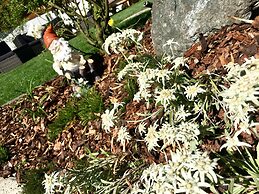 Cèsa Planber Apartments