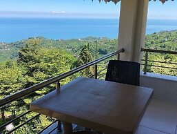 Zarha Mountain Resort