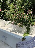 Kiraz Cicegi Butik Akyaka