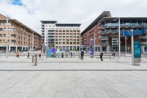 Birch at Clarion Quay