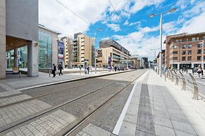 Birch at Clarion Quay