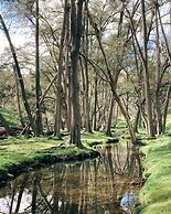 Turon Gates - Mountain Retreat