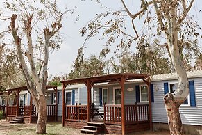 TAIGA Delta de l'Ebre