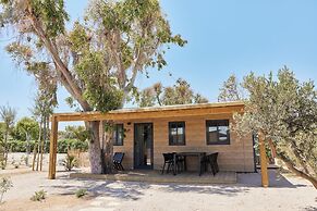 TAIGA Delta de l'Ebre