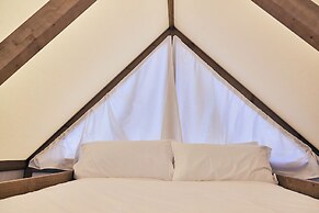 TAIGA Delta de l'Ebre