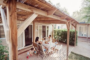 TAIGA Delta de l'Ebre