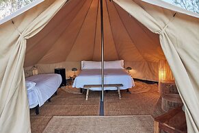 TAIGA Delta de l'Ebre