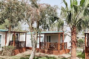 TAIGA Delta de l'Ebre